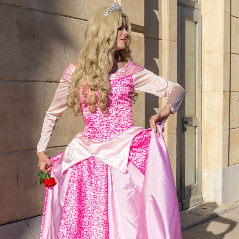 Aurore décoration thème princesse