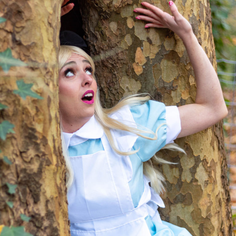 Alice personnage Disney robe bleue