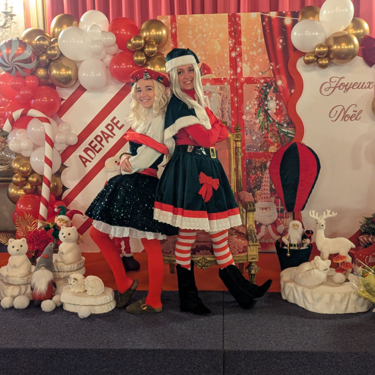 lutin de noel pour animation enfants