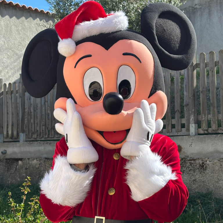 Mickey noel en location