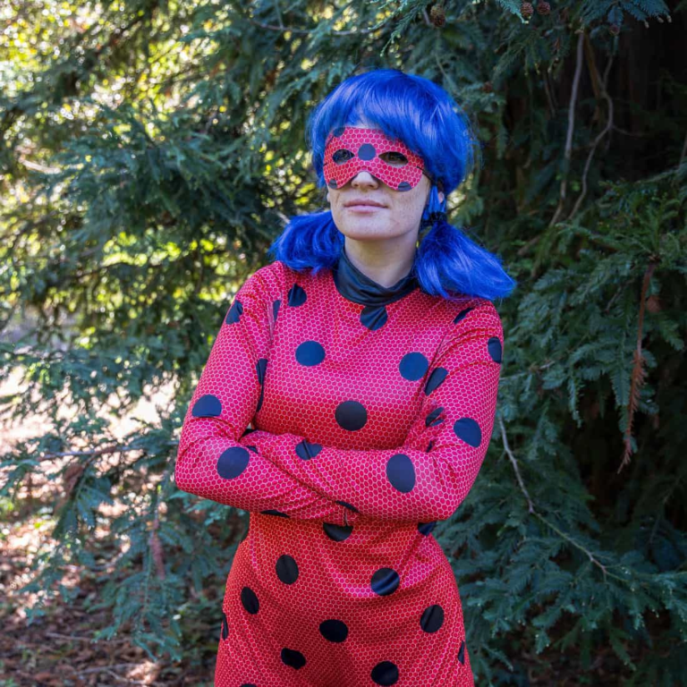 faire venir miraculous ladybug à la maison