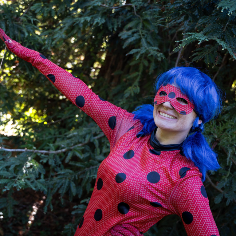 artiste miraculous ladybug